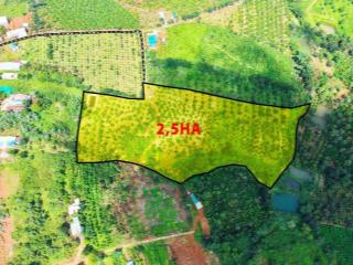 BDS gần KCN Đắk Nông diện tích lớn giá rẻ cách trung tâm 7,5km