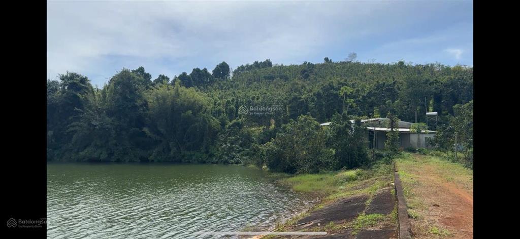 Rẫy view hồ tự nhiên giá rẻ, nguồn thu mạnh, oto vào tận nơi, đông dân cư