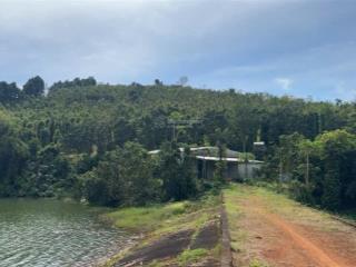 Rẫy view hồ tự nhiên giá rẻ, nguồn thu mạnh, oto vào tận nơi, đông dân cư