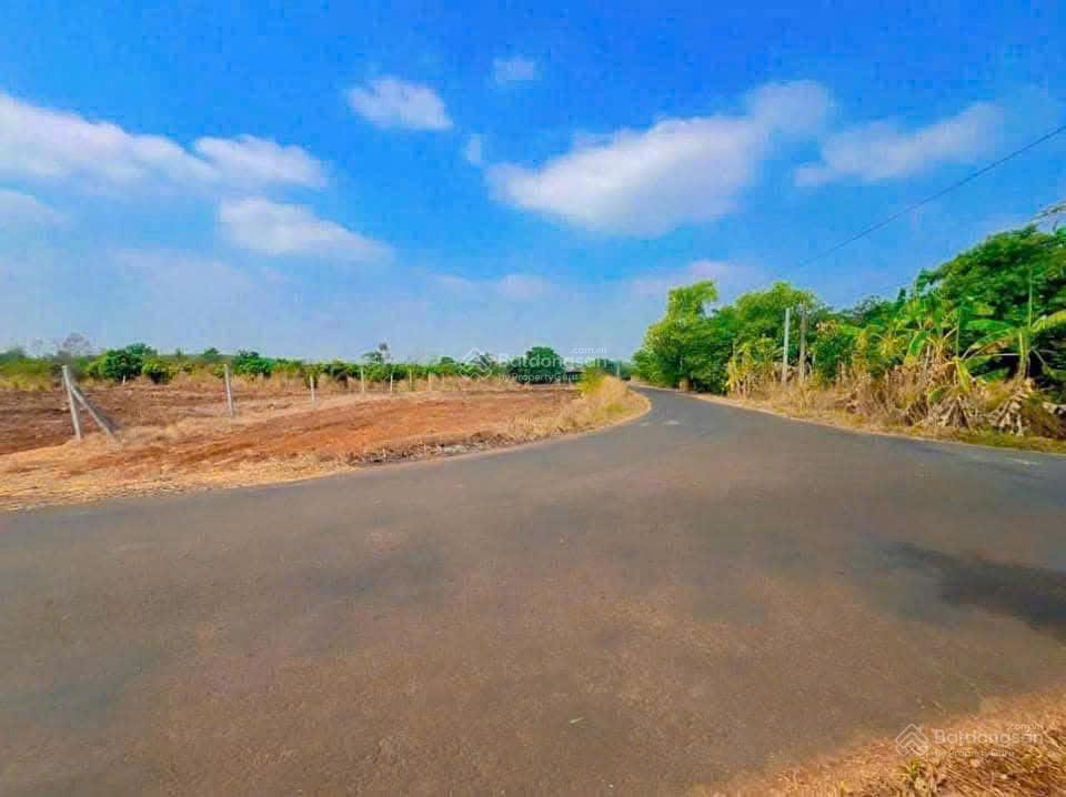Bán vườn xoài lộc khánh, lộc ninh, bình phước, giá chỉ 1,45 tỷ, 0898 847 ***