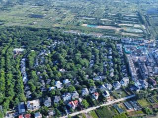 Bán biệt thự đơn lập vườn mai ecopark  375m², đất nở hậu phong thủy đẹp