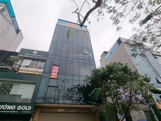 Chính chủ cho thuê gấp nhà đã hoàn thiện, 2 mặt phố quang trung hà đông, 130m2 7t 1h, mt 8m 100tr