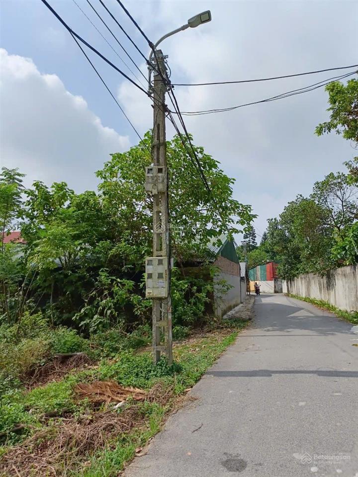 Xã đạo tú, tam dương, vĩnh phúc, giá ưu đãi 850 triệu, 105 m2