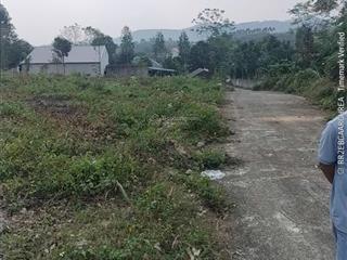 Đất tam đảo vĩnh phúc diện tích gần 4.200m2