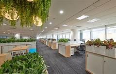 Bql cần cho thuê văn phòng tại vũ phạm hàm dt 220m2. free ngoài giờ