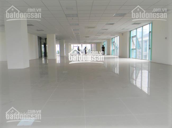 Bql cần cho thuê văn phòng tại vũ phạm hàm dt 220m2. free ngoài giờ