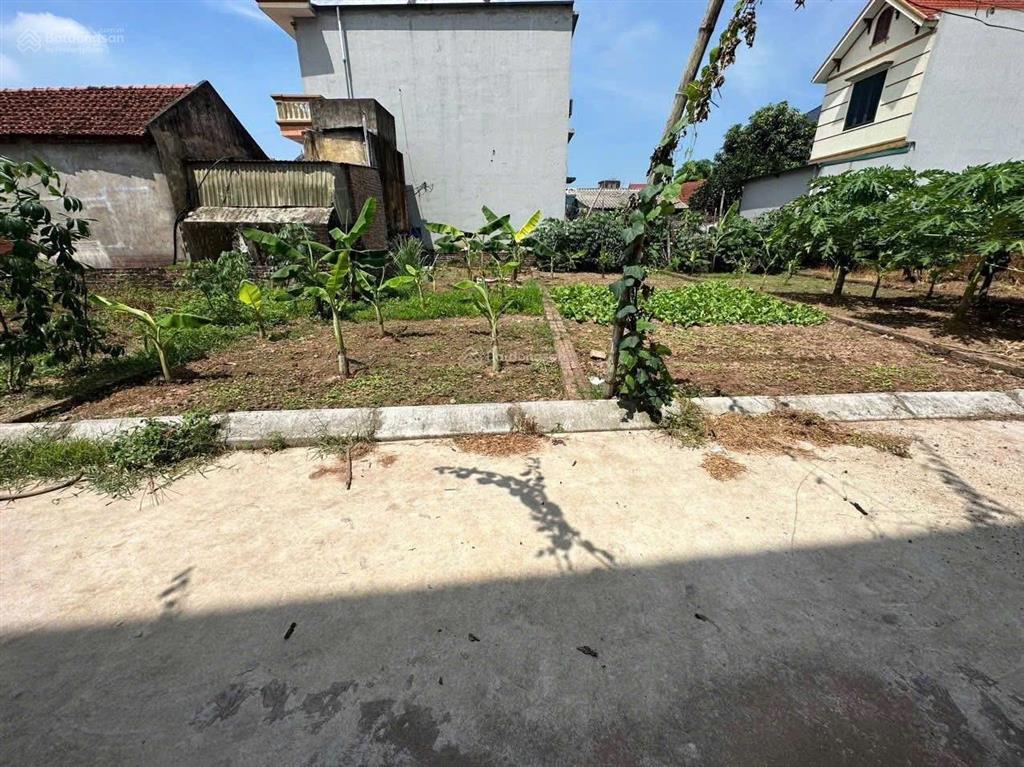 Đất đẹp đông kết, khoái châu, hưng yên, giá siêu hời 1,4 tỷ, 61.2 m2, vuông, đường ô tô, 0971 320 ***