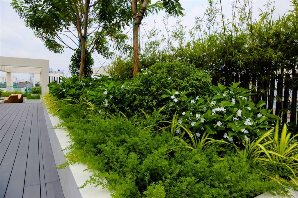Giỏ hàng pkd chuyên 2pn hado centrosa quận 10 giá tốt,đã có sổ hồng,view nhìn quận 1. 0989 723 ***