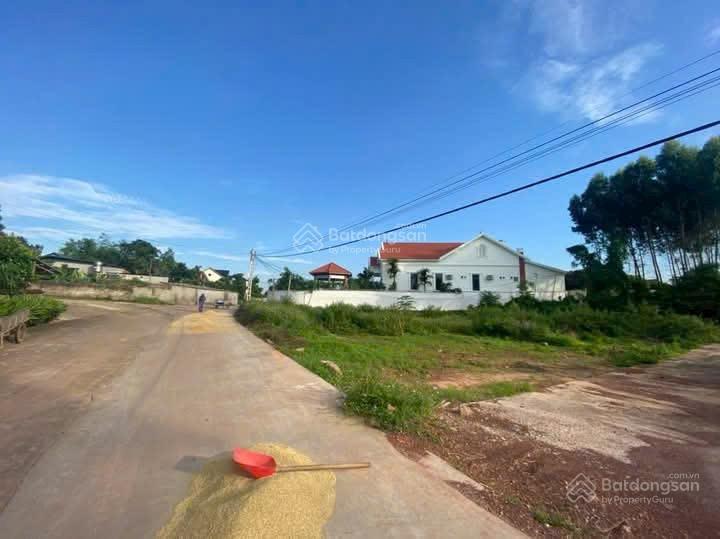 Siêu phẩm lô góc mặt hồ rùa vàng