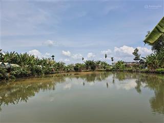 Bán đất vườn 5500m2 tại phường an hòa, biên hòa, đồng nai giá chỉ 3,2tr/m²  0933 725 ***