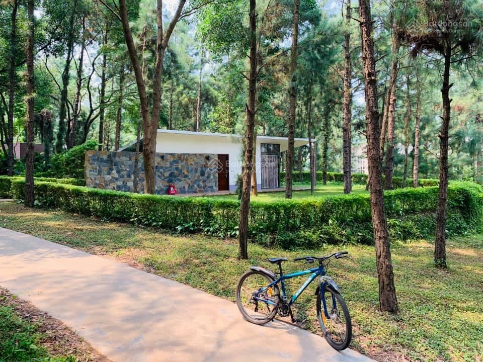 Bán bugalow đáng yêu nhất flamingo đại lải, sân sườn rộng, không gian hưởng thụ tuyệt đỉnh