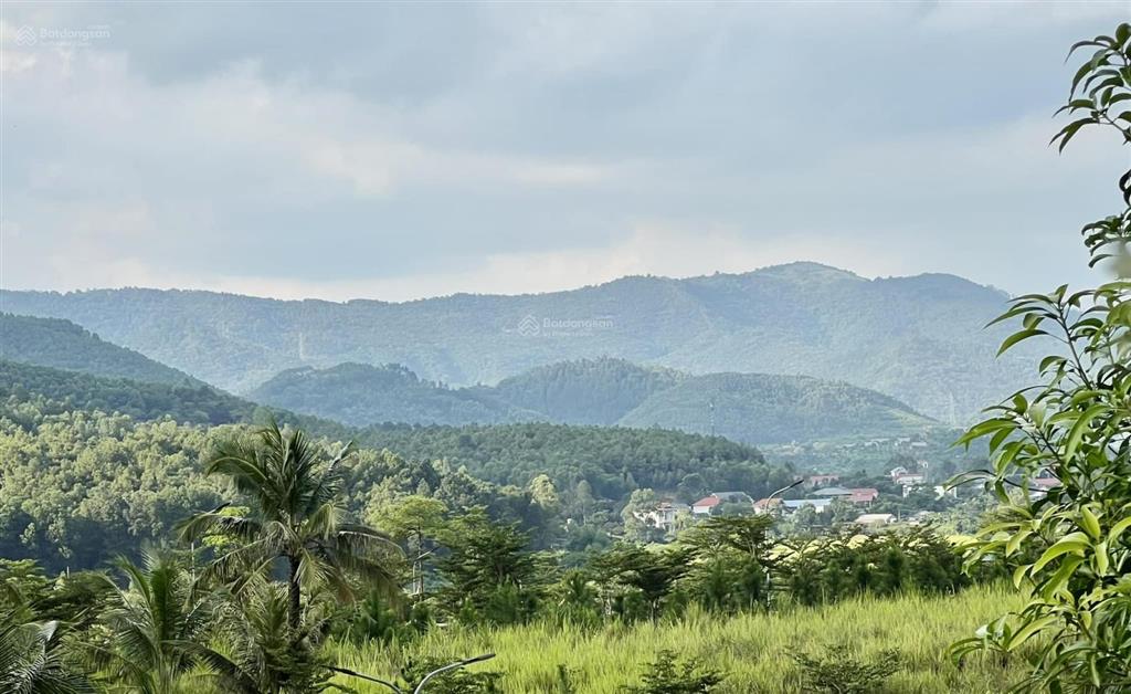 Bán bugalow đáng yêu nhất flamingo đại lải, sân sườn rộng, không gian hưởng thụ tuyệt đỉnh