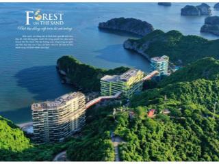 Bán căn hộ dịch vụ flamingo cát bà beach resort lô góc, ngắm biển, view núi tuyệt đẹp, 63m2, 4.8tỷ