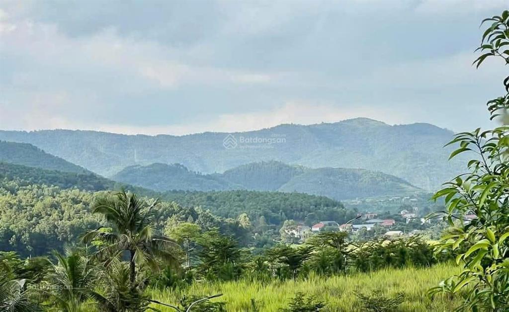 Đơn lập nghỉ dưỡng 180/380m thung lũng thanh xuân, vị trí tuyệt đẹp, quy hoạch riêng biệt, độc đáo