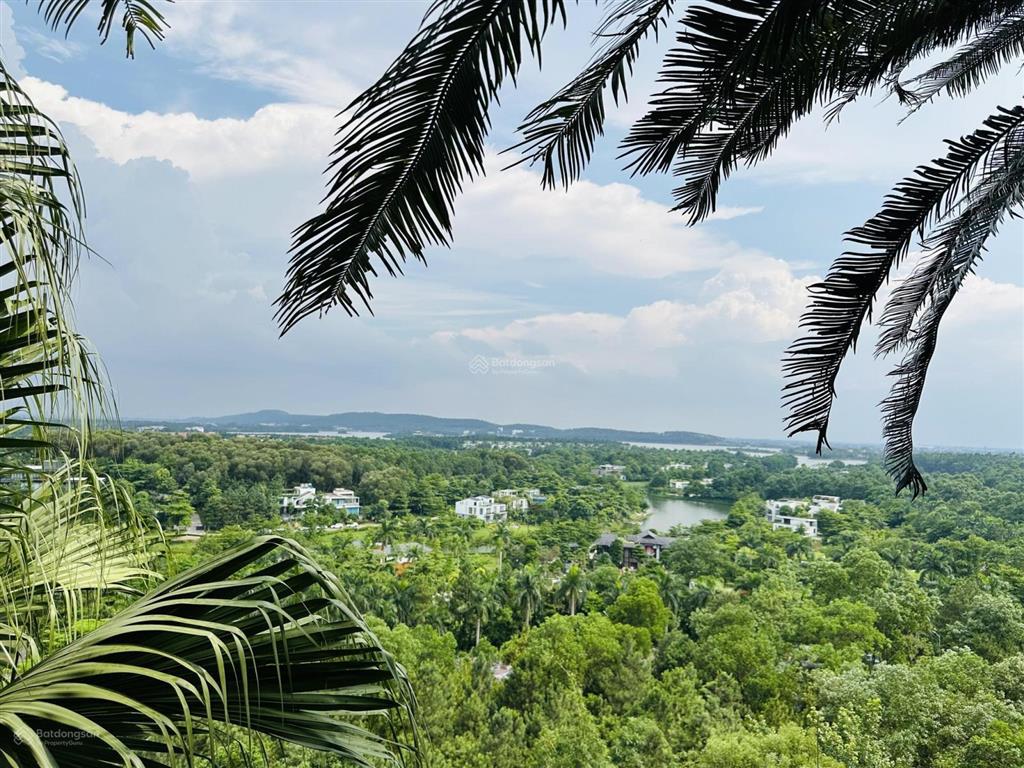 Quỹ căn hộ sổ lâu dài flamingo, tiêu chuẩn 5*, sổ lâu dài, không gian nghỉ dưỡng tuyệt đỉnh