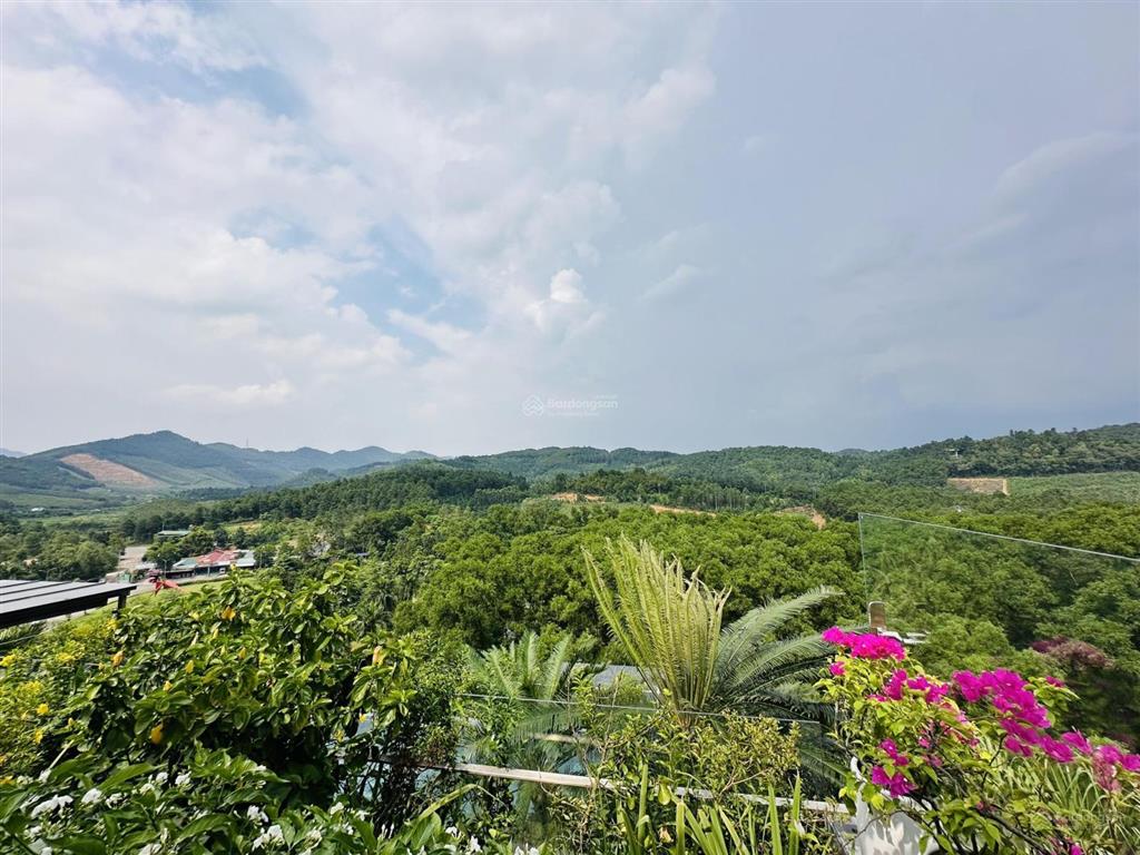 Quỹ căn hộ sổ lâu dài flamingo, tiêu chuẩn 5*, sổ lâu dài, không gian nghỉ dưỡng tuyệt đỉnh