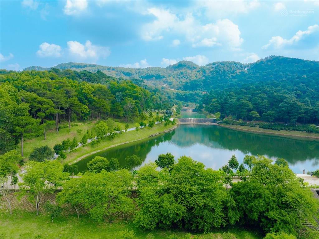 Quỹ căn biệt thự thô và hoàn thiện flamingo đại lải view hồ, nghỉ dưỡng hoàn hảo liên tục cập nhật