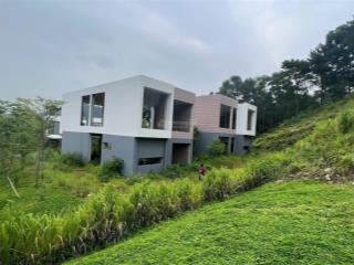 Bán 2 lô biệt thự flamingo đại lải resort, lô góc, ngắm trọn thung lũng thanh xuân, 380m2, 10 tỷ
