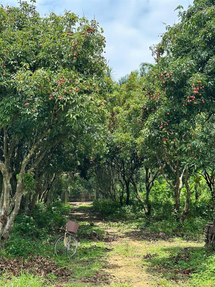 Bán 10.000m2, thổ cư 400m ngọc thanh, phong thủy vượng làm trang trại, nghỉ dưỡng, xưởng sản xuất