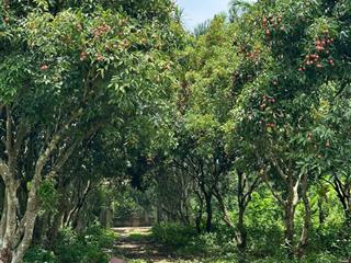 Bán 10.000m2 view suối xã ngọc thanh, phong thủy vượng làm trang trại, nghỉ dưỡng, xưởng sản xuất