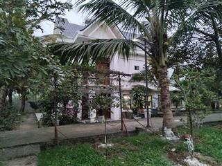 Bán biệt thự nghỉ dưỡng 5000m2 xã hướng đạo, tam dương, tặng vườn cây ăn trái đang thu hoạch