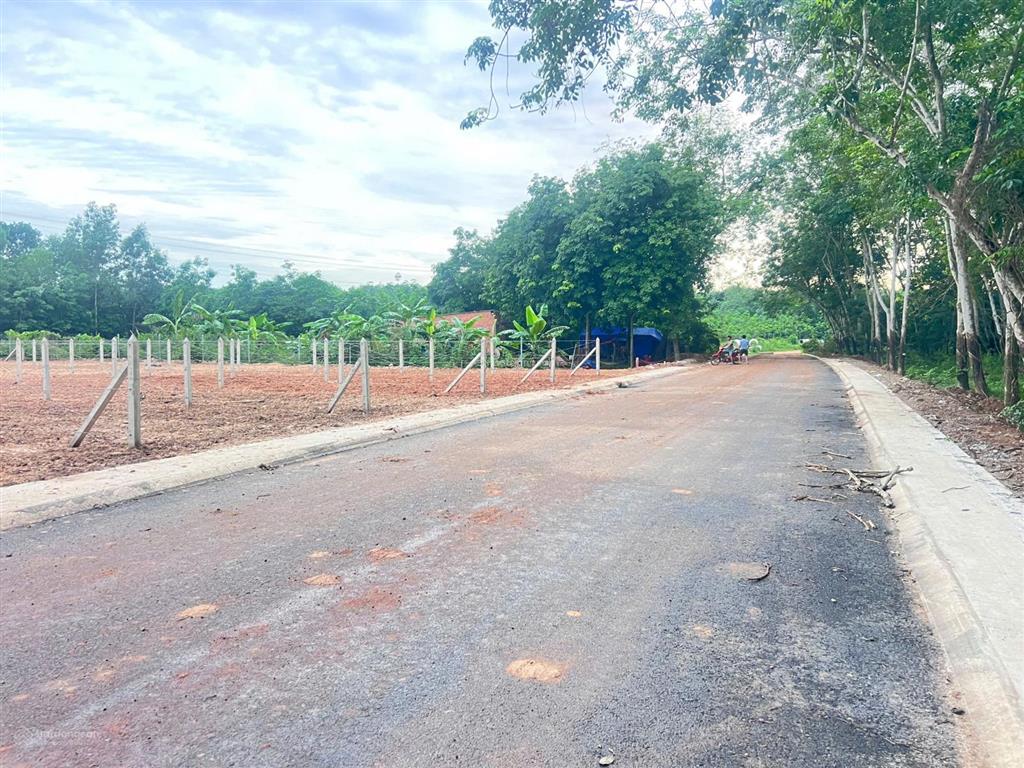 Chính chủ bán lô 5x40m ngay an điền, bến cát gần cầu thới an, sổ sẵn, giá tốt có hỗ trợ vay nh