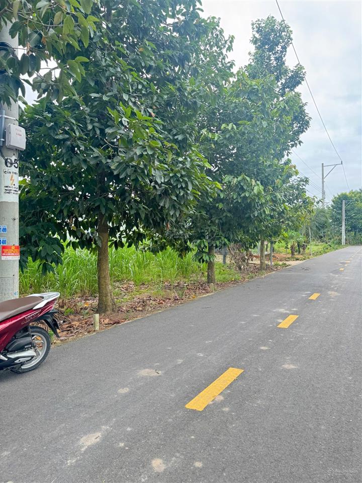 Bác em muốn sang lại miếng đất ở phú giáo bình dương.hiện là tp hồ chị minh