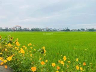 Cần bán 3 mảnh đất nền view cánh đồng lúa tại phố cổ hội an (có thể mua lẻ)