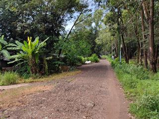 Hòa lợi kế kcn đồng an, diện tích 978m2, thổ cư 160m2  giá 4.4 tỷ