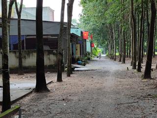 Bán đất thới hòa, diện tích 2.387m2, thổ cư 300m  giá 5.5 tỷ