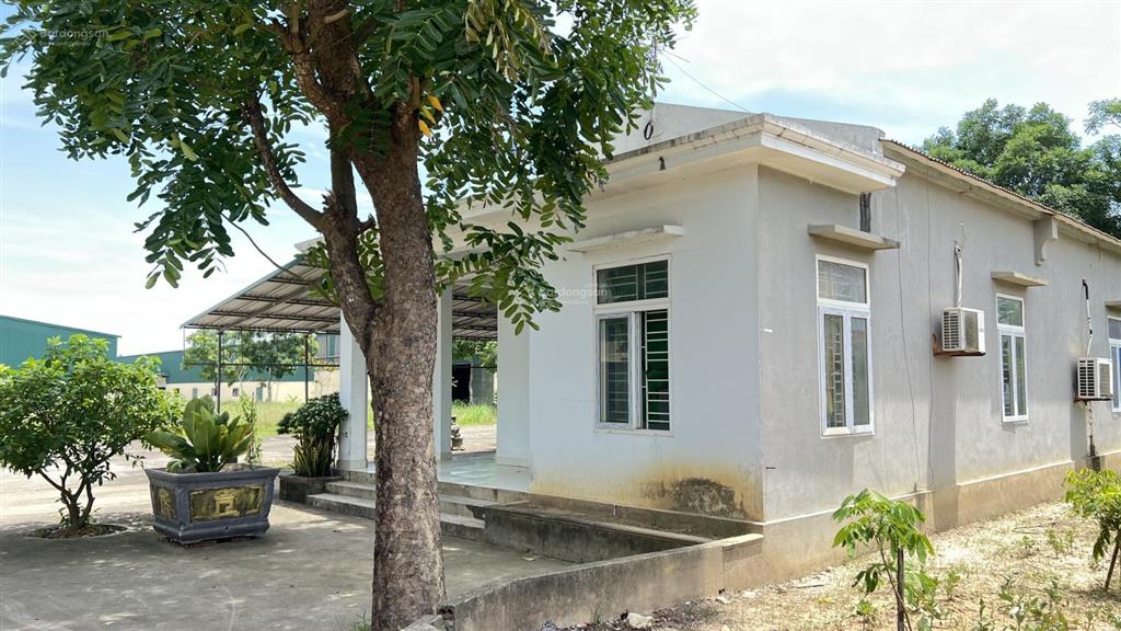 Cho thuê 6000m2 kho bãi nhà xưởng sản xuất sẵn tại thanh hóa