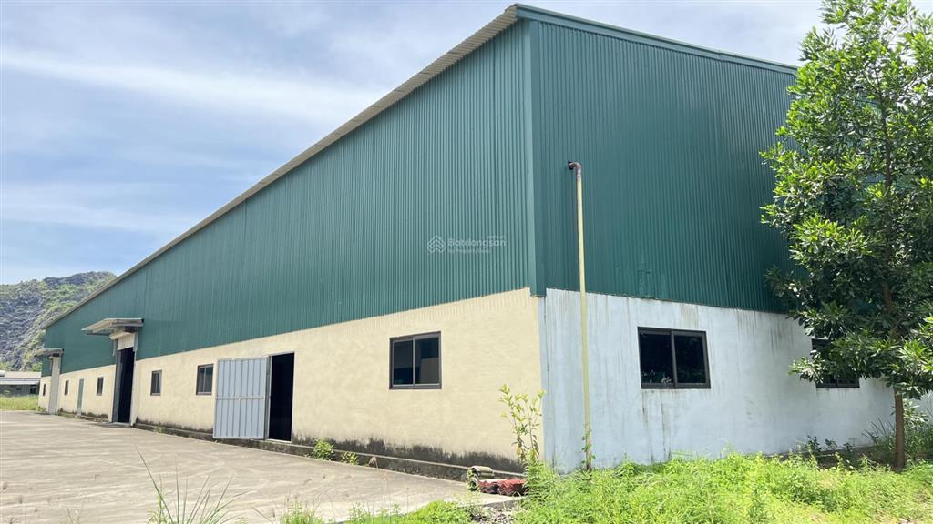 Cho thuê 6000m2 kho bãi nhà xưởng sản xuất sẵn tại thanh hóa