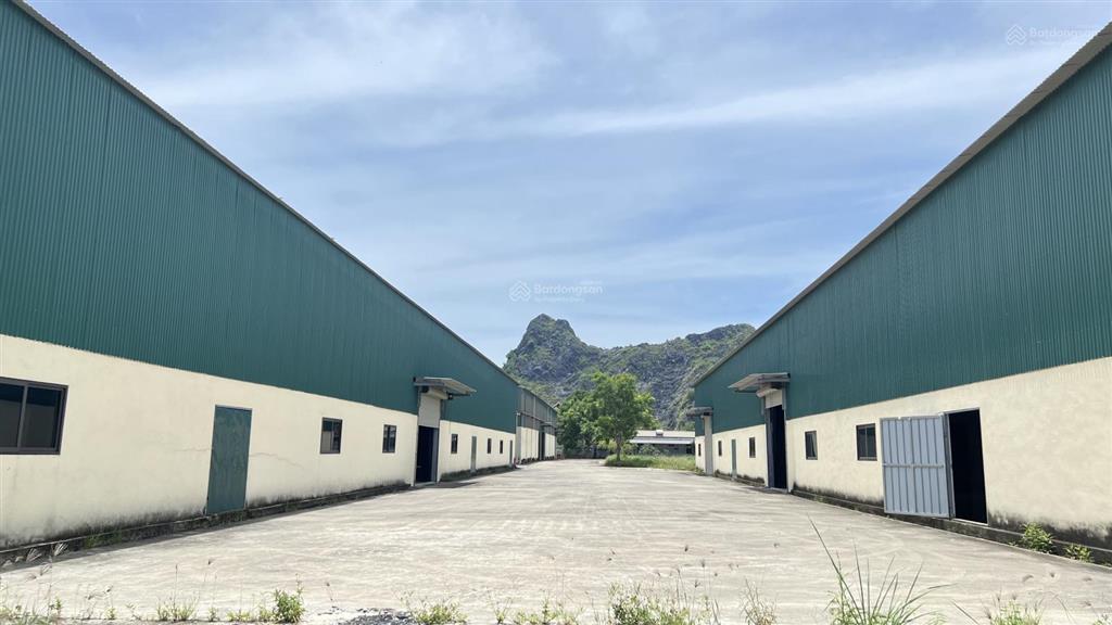 Cho thuê 6000m2 kho bãi nhà xưởng sản xuất sẵn tại thanh hóa