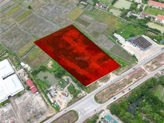 Đất thương mại dịch vụ 9783 m2 đẹp tại quảng thành thanh hóa