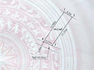 Cc bán 66,3 m2 đất nở hậu tại lâm động, thủy nguyên