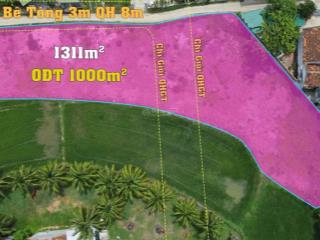 1000m2 full thổ cư cách đường minh mạng chỉ 20m mặt đường dài giá đầu tư