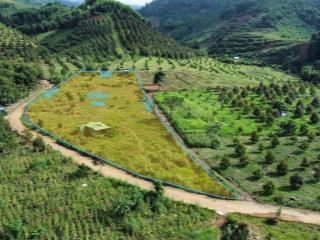Đất vườn 2 mặt tiền đường cách thị trấn tô hạp, huyện khánh sơn 4km