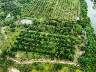 Bán vườn sầu riêng và bưởi sát sông gần thị trấn khánh vĩnh khánh hòa, sổ hồng đầy đủ
