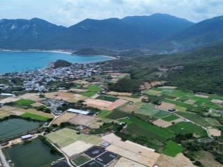 2.6ha 100% view biển và khu dân cư ninh vân ninh hòa mặt tiền đường tỉnh lộ giá thiện chí bán