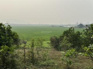 Cần bán 5000m2, 400m2 tc, 100m view cánh đồng, có ao tại thôn hải cao, thịnh minh, hoà bình