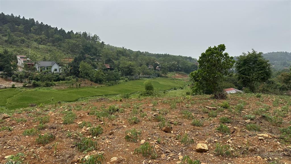Cần bán 1589m2, mt 25m, 100m2 thổ cư trục chính liên thôn tại khánh thượng, ba vì, hà nội