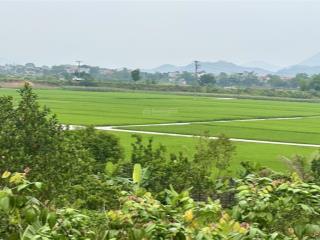 Cần tách bán 1000m2, 150m2 thổ cư, mặt tiền 28m, nở hậu. view cánh đồng tại khánh thượng, ba vì, hn