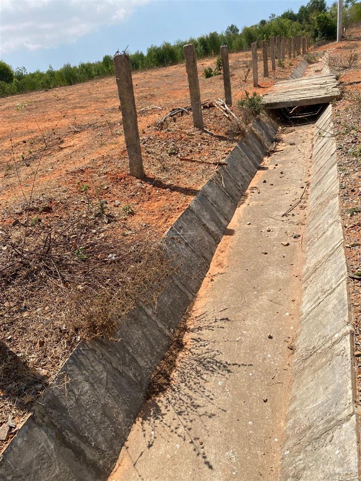 Bán đất đường sỏi cách ql1a. đất trồng cây lâu năm gần khu dân cư