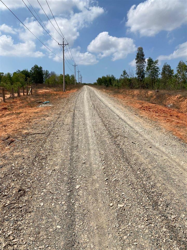 Bán đất đường sỏi cách ql1a. đất trồng cây lâu năm gần khu dân cư