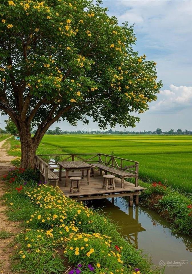 Ngộp bán rẻ lô đất chính chủ 2.940m2 thuộc tân nhựt, bình chánh giá 1,5tr/m2