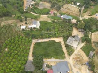 Bán đất cao dương lương sơn, hòa bình 1718m2 cao thoáng đẹp