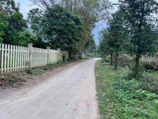 Bán đất lương sơn, hoà bình 250m2 giá rẻ, đường thông
