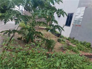 Bán đất tại linh quy bắc, xã thuận an, gia lâm, hà nội giá ưu đãi 3,3 tỷ, diện tích 60m2