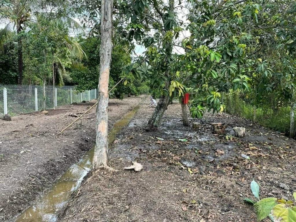 Giáp chủ  mặt tiền an sơn 1. diện tích 12,5x65m, thổ cư 139.4m2