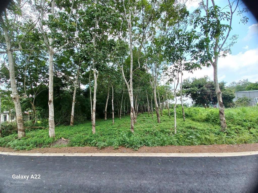 Đất nền siêu rẻ tại xã long hòa, 2,4 tỷ, 4819m2